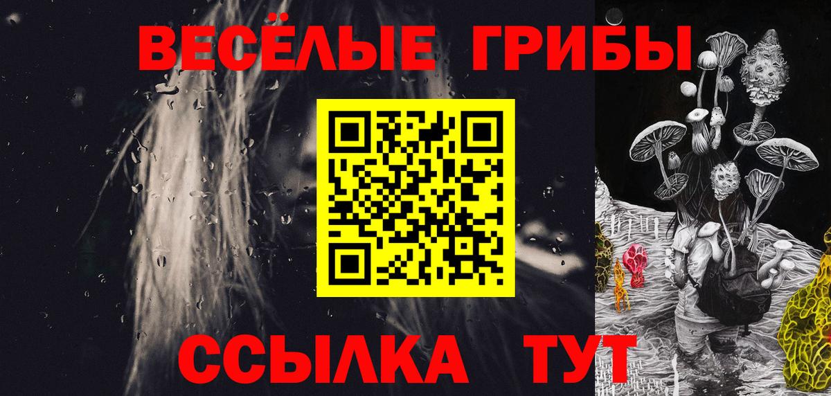 Ульяновск  купить закладку  Вход с VPN  Галлюциногенные грибы ЛСД  Псилоцибиновые грибы мицелий 
