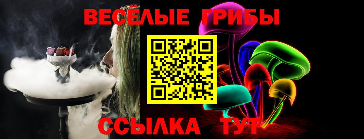 Галлюциногенные грибы Psilocybe Ульяновск